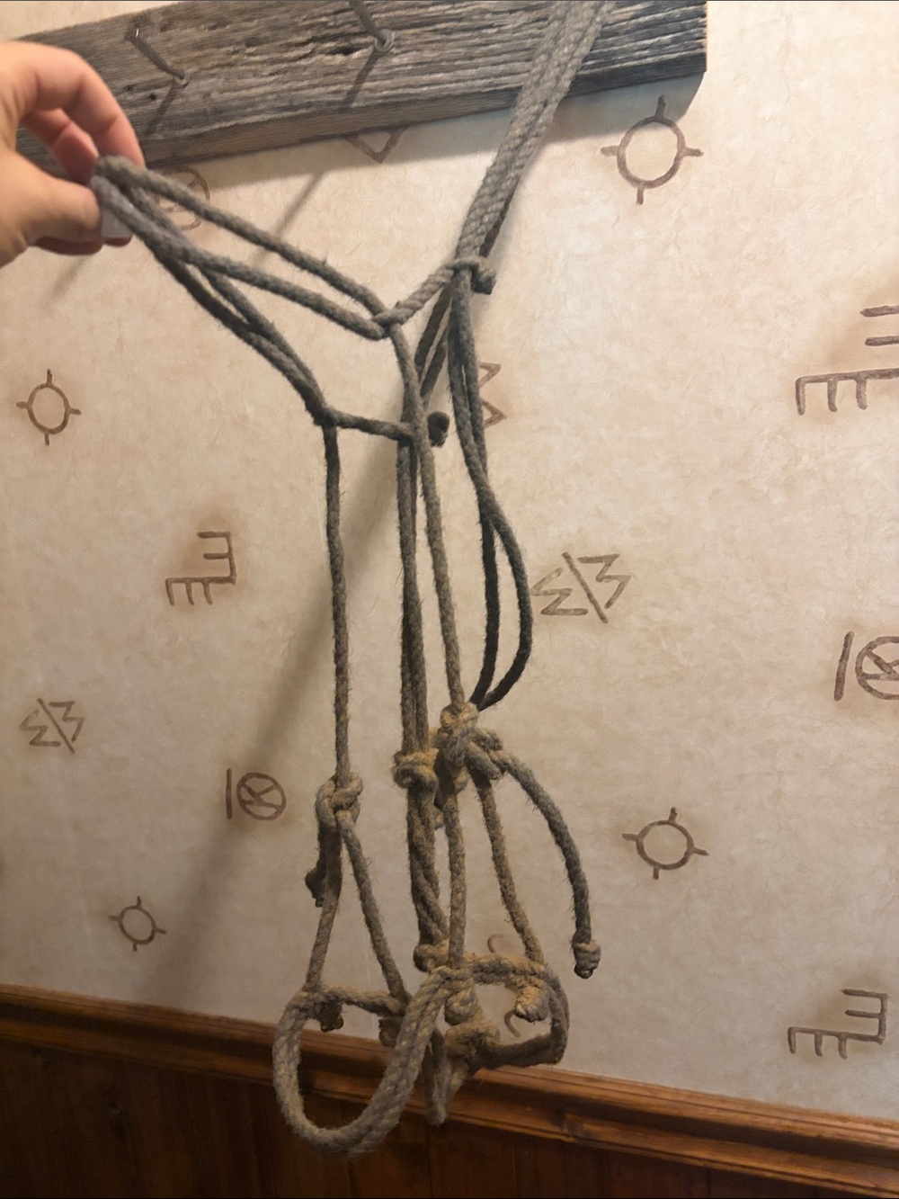 Loping hackamore - Picture 3 of 5